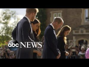 Read more about the article Royal relatives reunite in show of unity l ABCNL