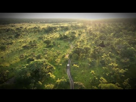 You are currently viewing All-New 20/20 Event Special | Friday 9/8c on ABC