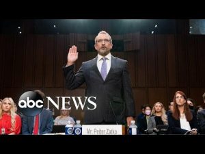 Read more about the article Twitter whistleblower details claims to Congress