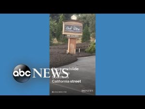 Read more about the article Mudslide inundates Southern California street