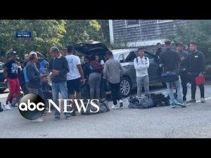 Read more about the article Humanitarian crisis latest: 50 migrants flown to Martha’s Vineyard | ABCNL