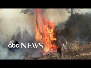 Read more about the article Mosquito Fire now largest in California this year