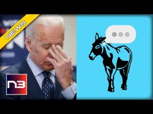 Read more about the article Watch What Happens Dem is Asked How Biden is Doing (You Won’t Believe It)