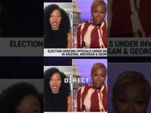 Read more about the article THIS Is Why Libs Want You To Be Afraid of “MAGA Republicans” | #shorts