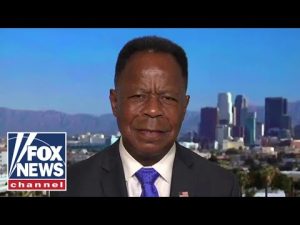 Read more about the article Leo Terrell: These are just talking points