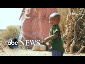 Read more about the article Devastating drought sparks widespread starvation in Somalia l ABCNL