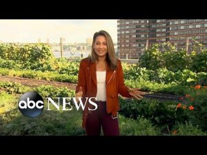 Read more about the article New York City takes on Climate Week | ABCNL