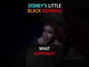 Read more about the article Disney’s Little Mermaid Controversy Hodgetwins React