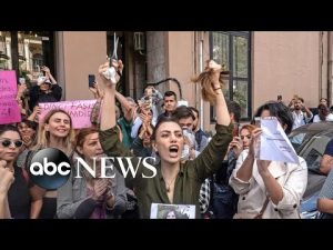Read more about the article Iran death protests, beached whales, Hurricane Fiona: World in Photos, Sept. 21.