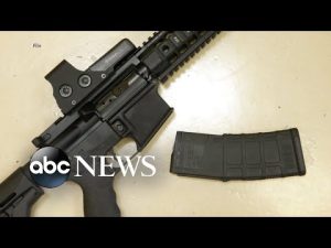Read more about the article Hundreds of survivors of mass shootings gather in DC to call for assault weapon ban