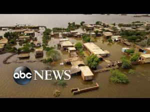 Read more about the article UNICEF on Pakistan flooding: ‘Imagine the entire northeast of the US underwater’ l ABCNL