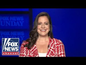 Read more about the article Rep. Elise Stefanik rips Democrats’ record of ‘crisis and failure’