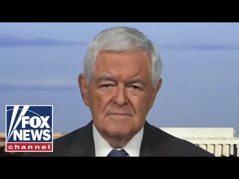 You are currently viewing Gingrich: The woke Biden admin lives in a fantasy world