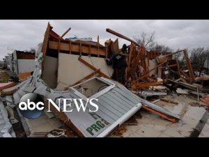 Read more about the article Hurricane categories explained: How strong is each category?