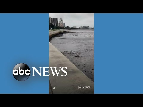 You are currently viewing Water recedes from Tampa Bay