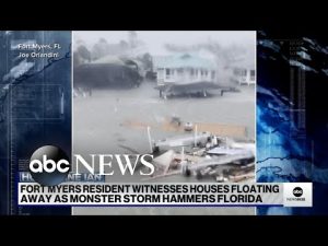 Read more about the article Hurricane Ian makes landfall in Florida