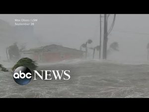 Read more about the article Fort Myers mayor felt ‘helpless’ watching Hurricane Ian’s devastation