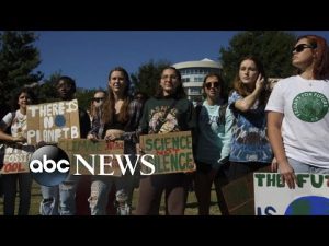 Read more about the article Midterm elections mark 1st time majority of Gen Z is eligible to vote