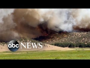 Read more about the article Thousands of Californians evacuate amid wildfires