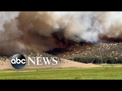 You are currently viewing Thousands of Californians evacuate amid wildfires