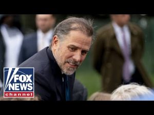 Read more about the article Americans are angry over the ‘double standard’ on Hunter Biden: Rep. Emmer