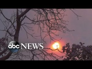 Read more about the article Weather extremes