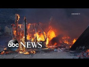 Read more about the article Extreme weather turns deadly