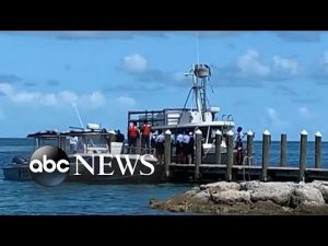 Read more about the article Deadly shark attack