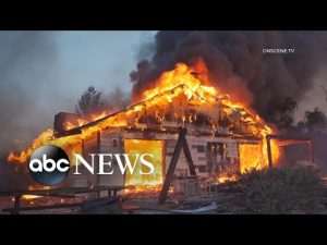 Read more about the article West Coast swelters under record-breaking temperatures l GMA