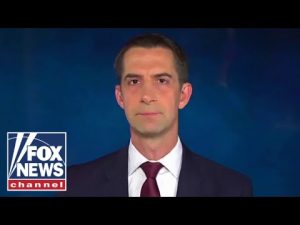 Read more about the article Tom Cotton: Dems ‘won’t treat criminals as the criminals they are’