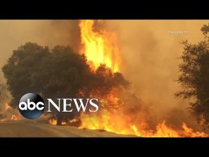 Read more about the article Record heat and wildfires force more evacuations in the West l GMA