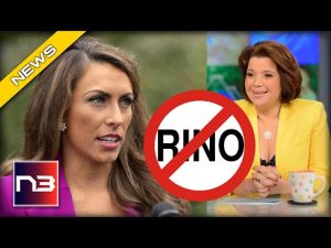 Read more about the article They Think YOU’RE STUPID – Look Who ABC Tapped To Represent YOU on The View
