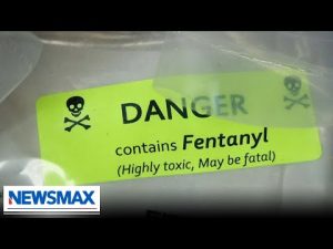 Read more about the article ‘Kids are dying’: Former agent sounds the alarm on fentanyl | Derek Maltz | National Report