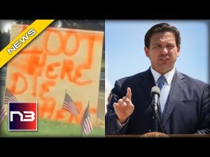 Read more about the article DeSantis Threatens Would-be Looters with One Simple Message