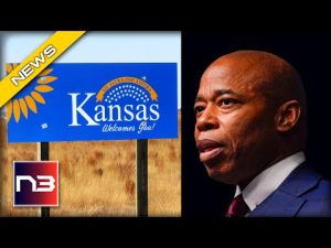 Read more about the article NYC Mayor Gets CRUSHED after Mocking the State of Kansas