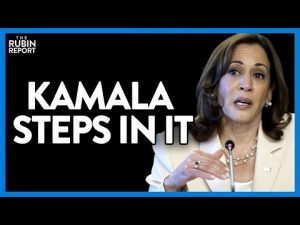 Read more about the article Kamala Incites Outrage with Blatantly Anti-White Remark | @The Rubin Report
