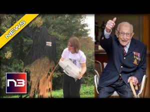 Read more about the article DISGUSTING: Climate Activist Does The UNTHINKABLE To WW2 Memorial