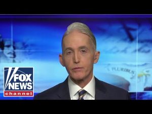 Read more about the article Trey Gowdy: Why is it ‘ultra-conservative’ but not ‘ultra-liberal?’