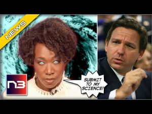 Read more about the article SICK: After Hurricane Ian, MSNBC’s Joy Reid Goes All In To Destroy “Climate Deniers”