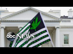 Read more about the article Marijuana possession pardons