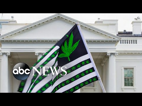 You are currently viewing Marijuana possession pardons