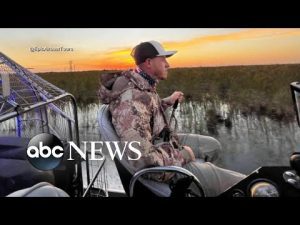 Read more about the article Airboat tour guide rescues more than 100 Floridians after Hurricane Ian | ABCNL