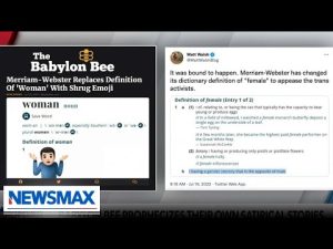 Read more about the article The Babylon Bee prophesizes their own satirical stories | Chandler Juliet | America Right Now