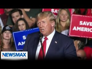 Read more about the article TRUMP: They’ll all get elected, just wait