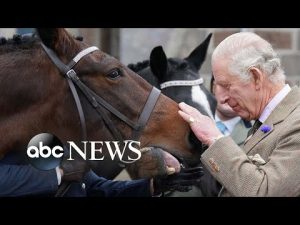 Read more about the article King Charles , autumn and Ukraine: World in Photos, Oct. 11