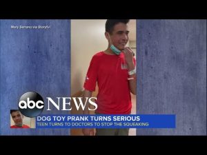 Read more about the article Dog toy prank turns serious
