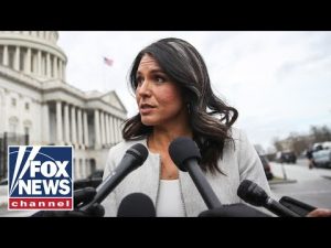 Read more about the article Sarah Palin’s advice to Tulsi Gabbard