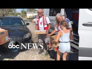 Read more about the article Florida strong: Strangers helping strangers | WNT