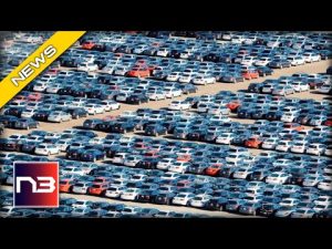 Read more about the article Are You Ready for a World without Cars? The New York Ban Shows Us What’s to Come
