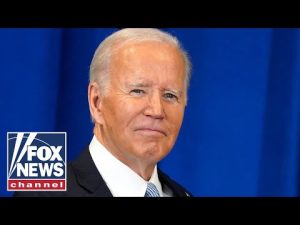 Read more about the article Americans are fed up with a president who doesn’t care: Sen. Scott